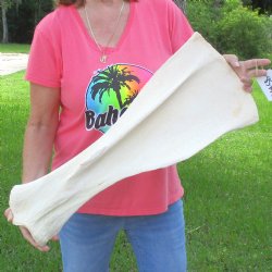 Buy this 26 Inch Gi...