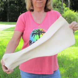 Buy this 23-1/2 Inc...