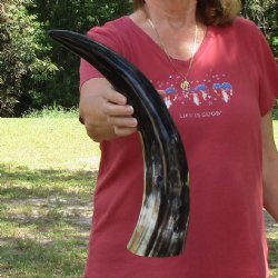 20 inch Polished Co...