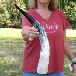 24 inch White Polis...