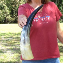 19 inch White Polis...