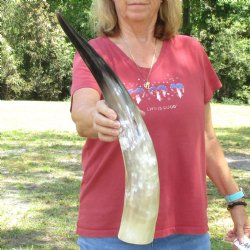 23 inch White Polis...