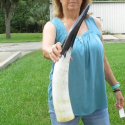 25 inch White Polis...