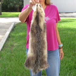 Opossum fur pelt, tanned hide for sale, measuring 26 inches long - for $45.00