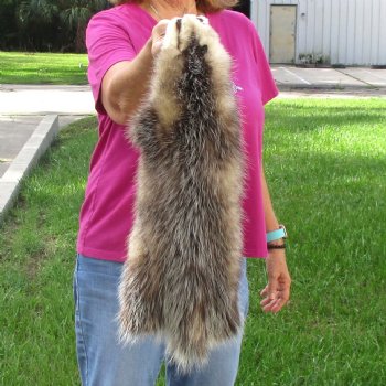 Opossum fur pelt, tanned hide for sale, measuring 23 inches long - for $45.00