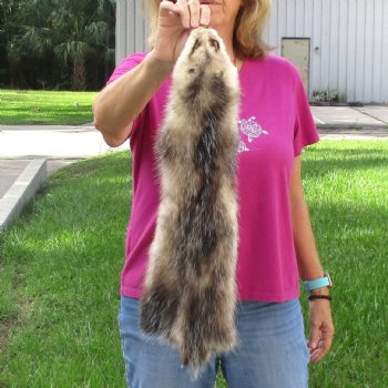 Opossum fur pelt, tanned hide for sale, measuring 24 inches long - for $45.00