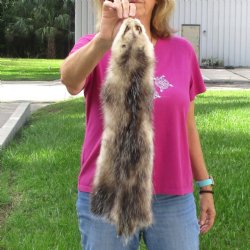 Opossum fur pelt, tanned hide for sale, measuring 24 inches long - for $45.00