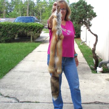 Red Fox fur pelt, tanned hide for sale, measuring 46 inches long - for $80.00