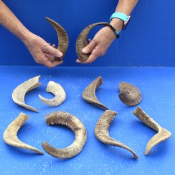 10 piece lot of Ram...