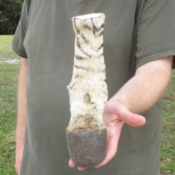 9" Zebra Foot Mount 