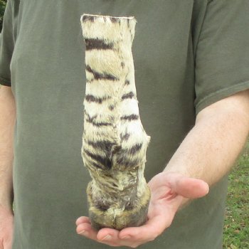 9" Zebra Foot Mount 
