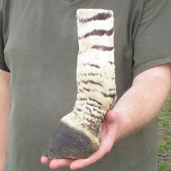 9" Zebra Foot Mount 