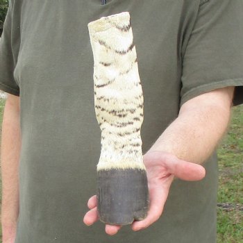 9" Zebra Foot Mount 