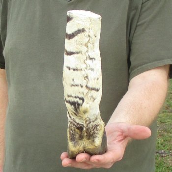 9" Zebra Foot Mount 