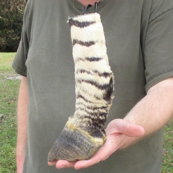 10" Zebra Foot Mount 