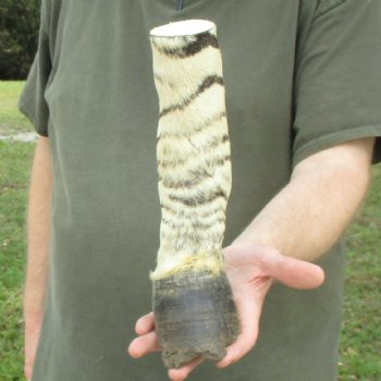 10" Zebra Foot Mount 