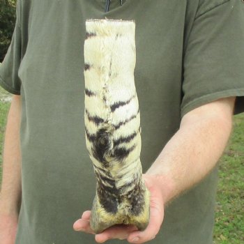 10" Zebra Foot Mount 