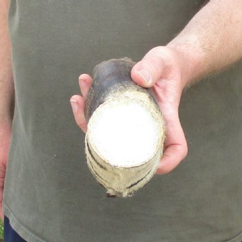 10" Zebra Foot Mount 