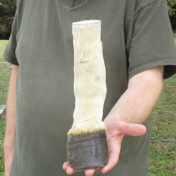 10" Zebra Foot Mount