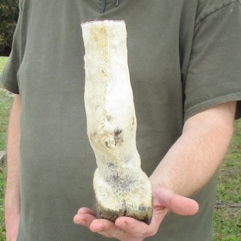 10" Zebra Foot Mount