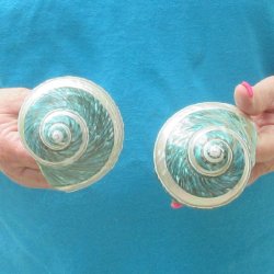 2pc Pearl Banded Ja...