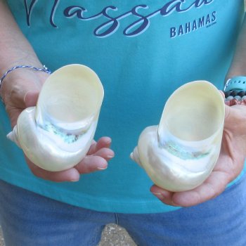 2pc Pearl Turbo shells- for $20/lot