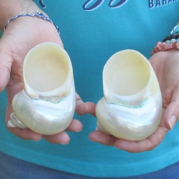 2pc Pearl Turbo shells- for $20/lot