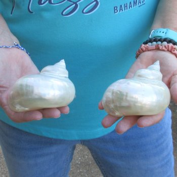 2pc Pearl Turbo shells- for $20/lot