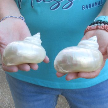 2pc Pearl Turbo shells- for $20/lot