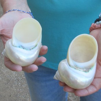 2pc Pearl Turbo shells- for $20/lot