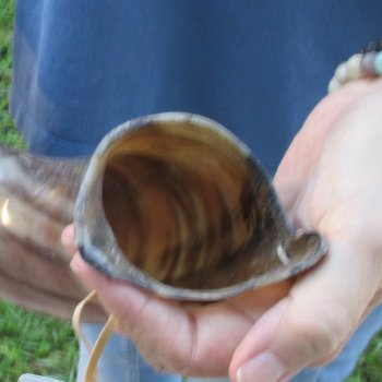 40" Polished Kudu Horn - $140