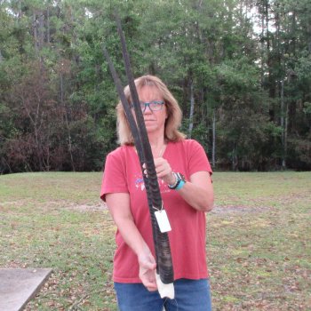 Gemsbok Skull Plate with 37 inch horns for sale $80