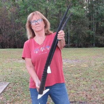 Gemsbok Skull Plate with 36-1/2 inch horns for sale $80