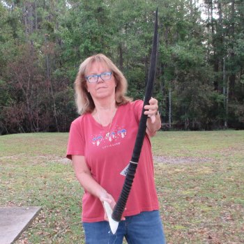 Gemsbok Skull Plate with 36-1/2 inch horns for sale $80