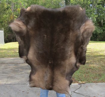Nice Quality A Grade Reindeer pelt/hide/skin without legs, 46 inches long by 36 inches wide for $110