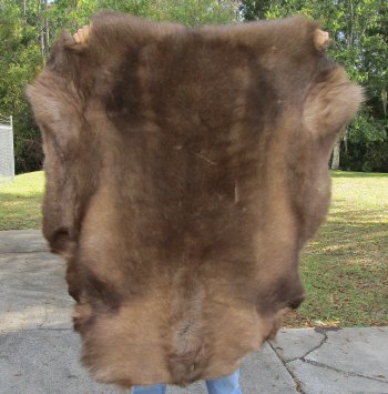 Nice Quality A Grade Reindeer pelt/hide/skin without legs, 47 inches long by 36 inches wide for $110