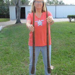 2 Piece Lot of 40 I...