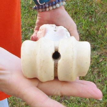 24" Giraffe Metatarsal Leg Bone 