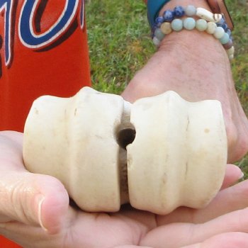 24" Giraffe Metacarpal Leg Bone 