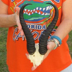 B-Grade Male Spring...