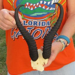 B-Grade Male Spring...