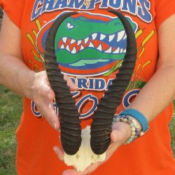 B-Grade Male Spring...