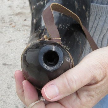 21" Polished Buffalo Blowing Horn with Leather Strap