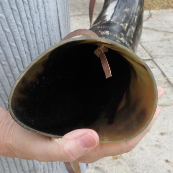 21" Polished Buffalo Blowing Horn with Leather Strap
