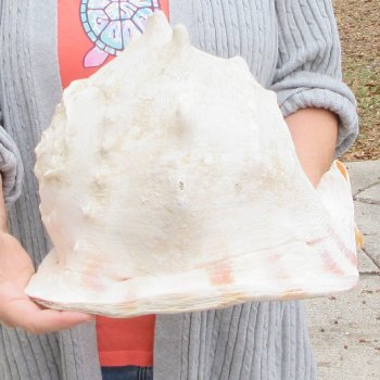 12-1/2" Yellow Helmet 