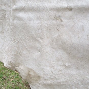 Blesbok Skin Rug, Blesbok Hide Soft Tanned 50" x 41"