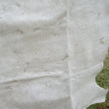 Blesbok Skin Rug, Blesbok Hide Soft Tanned 50" x 41"