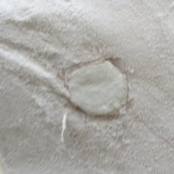 Blesbok Skin Rug, Blesbok Hide Soft Tanned 47" x 41-1/4"