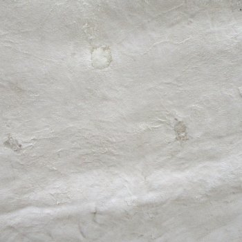 Blesbok Skin Rug, Blesbok Hide Soft Tanned 47" x 41-1/4"