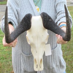 Slight B-Grade, Fem...